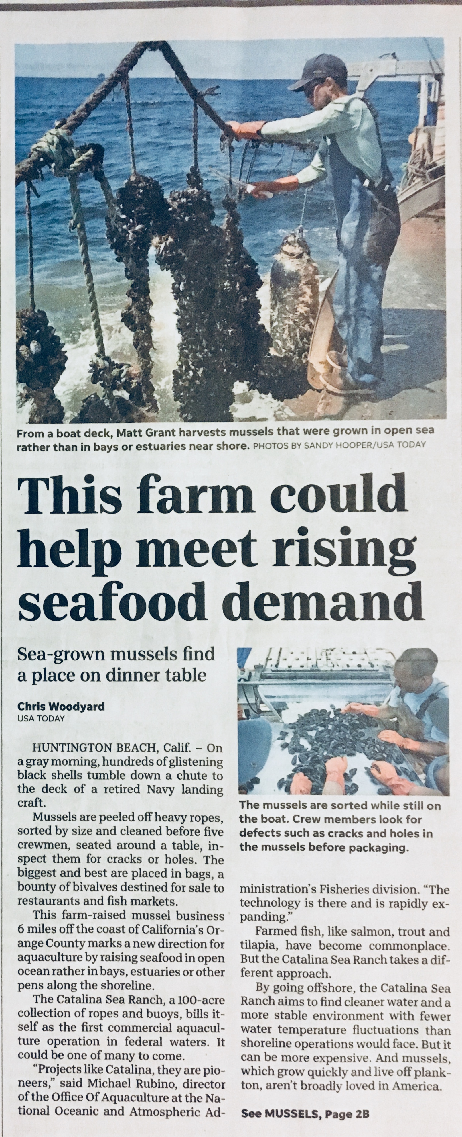 Click on photo to view full article