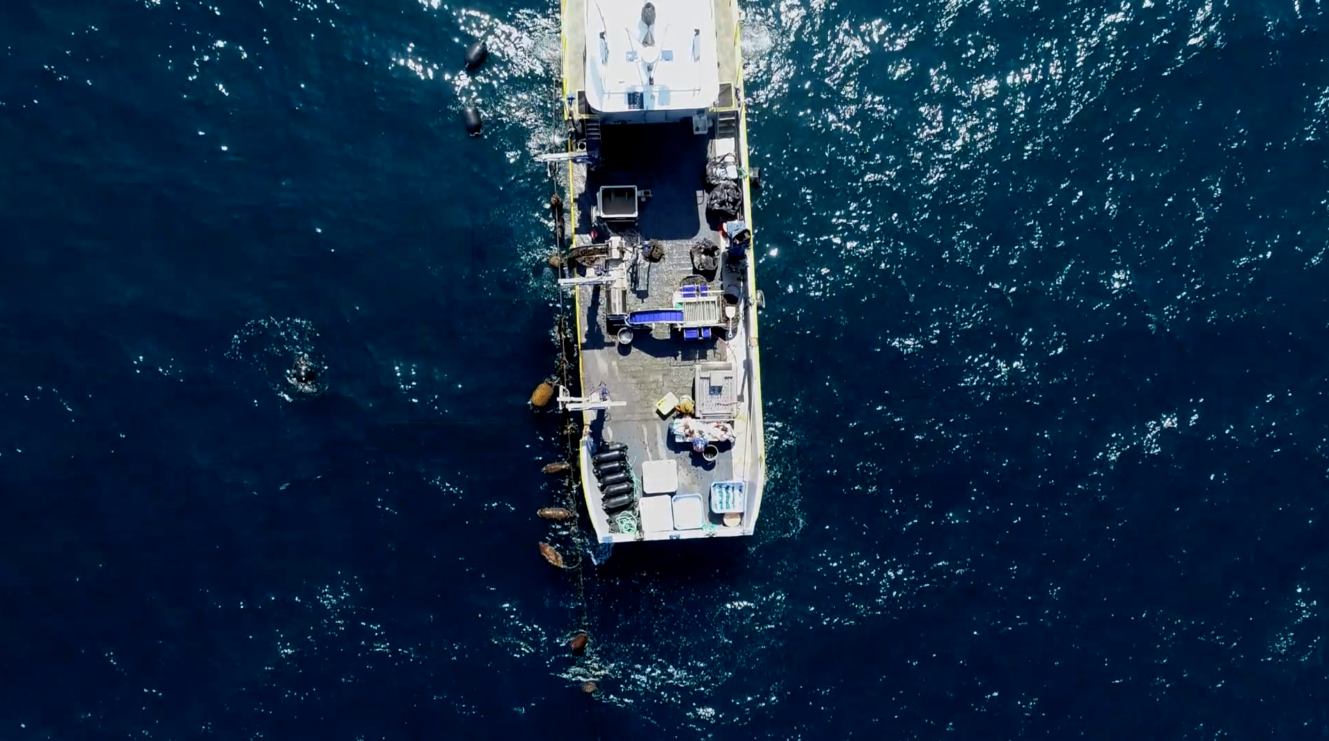 Overhead Harvest Photo 2.png