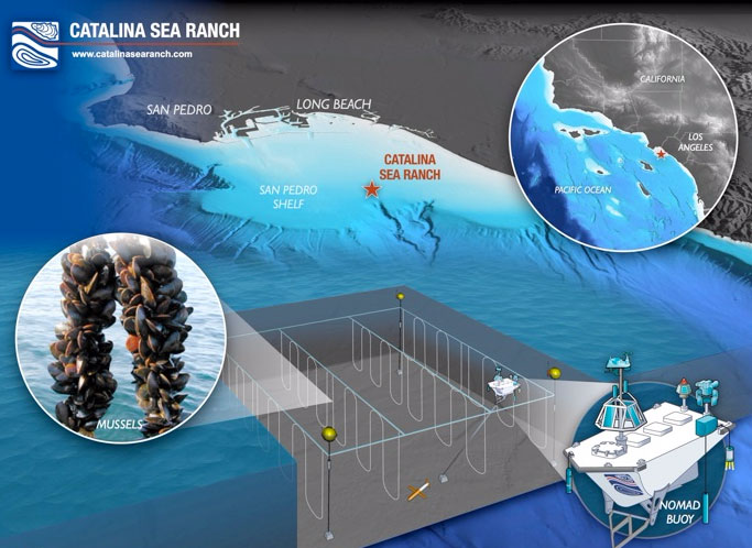 catalinasearanch ranch graphic 2.jpg