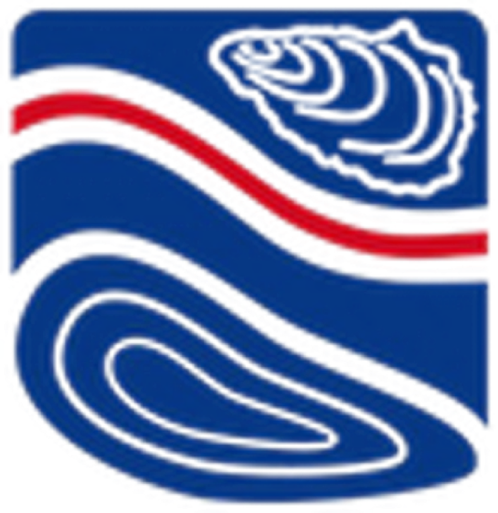 CSR LOGO (Vector) copy.png